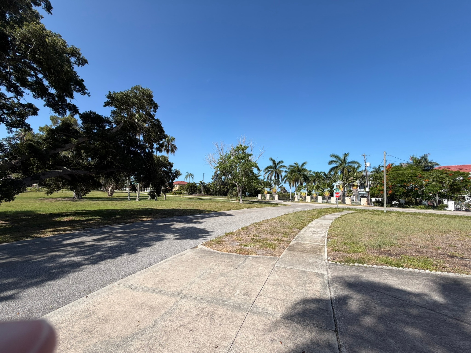 Street view toward the bay โ Palma Sola off-market listing photo 44