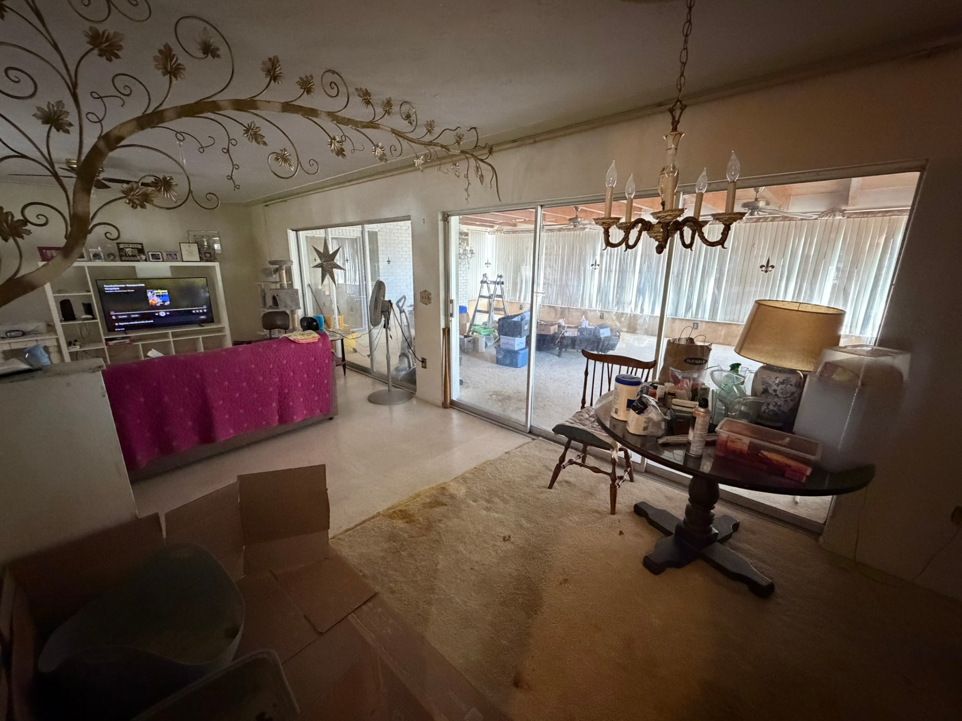Living area with lanai view โ Palma Sola off-market listing photo 36