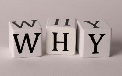 Why More Options Can Make Decisions Harder